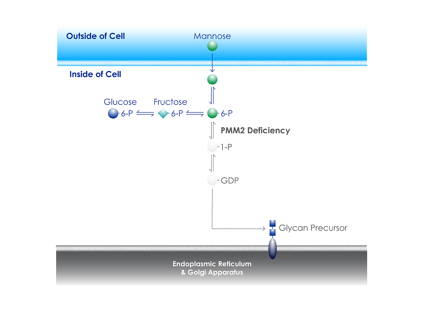 Replacement Therapies for Serious Rare Diseases