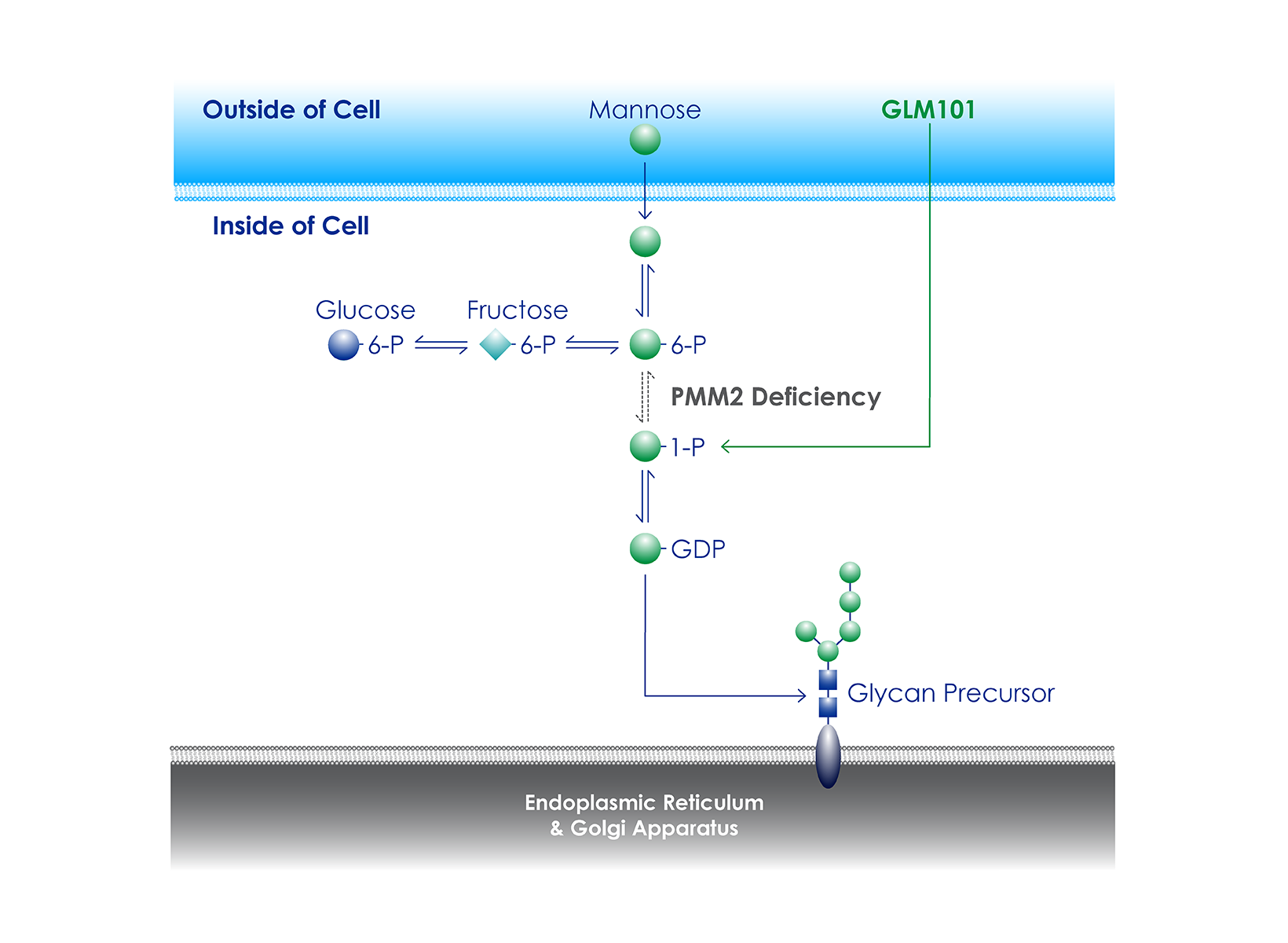 Replacement Therapies for Serious Rare Diseases